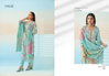 Haseen Vol 5 By Glossy Viscose Muslin Digital Printed Dress Material Suppliers In Mumbai
